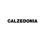 calzedonia